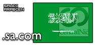 Domain Dienste -> sa.com fr 57,12 € - Laufzeit und Abrechnung  1 Jahr. ( Saudi Arabien )