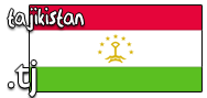 Domain Dienste -> tj fr 63,37 € - Laufzeit und Abrechnung  1 Jahr. ( Tajikistan )