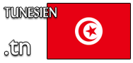 Domain Dienste -> tn fr 253,20 € - Laufzeit und Abrechnung  1 Jahr. ( Tunesien )