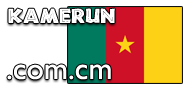 Domain Dienste -> com.cm fr 29,75 € - Laufzeit und Abrechnung  1 Jahr. ( Kamerun )