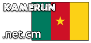 Domain Dienste -> net.cm fr 21,00 € - Laufzeit und Abrechnung  1 Jahr. ( Kamerun )