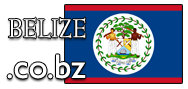 Domain Dienste -> co.bz fr 37,50 € - Laufzeit und Abrechnung  1 Jahr. ( Belize )