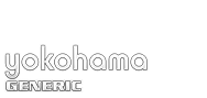 Domain Dienste -> yokohama fr 19,04 € - Laufzeit und Abrechnung  1 Jahr. ( Yokohama )
