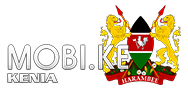 Domain Dienste -> mobi.ke fr 47,60 € - Laufzeit und Abrechnung  1 Jahr. ( Kenia )